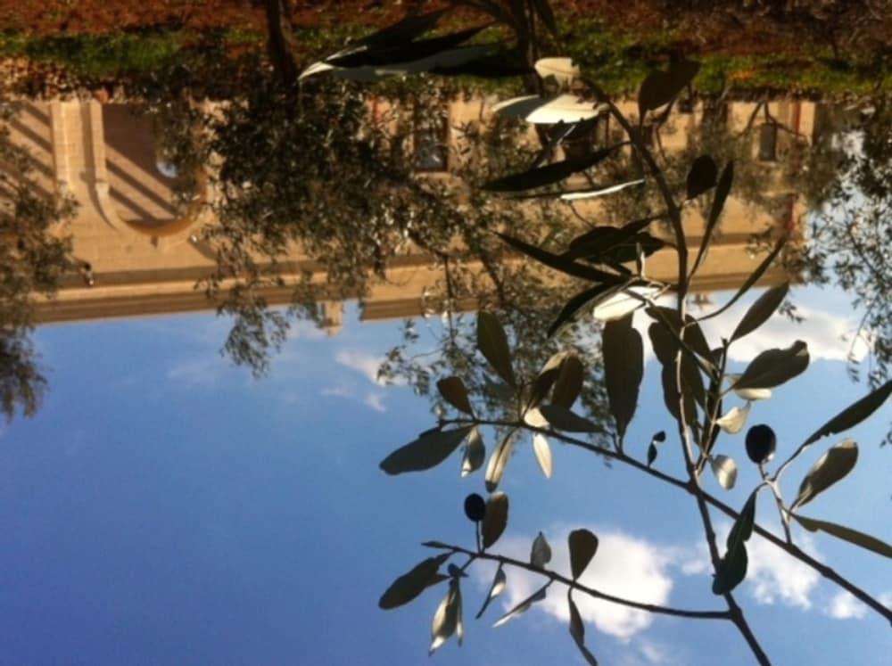 Agriturismo Masseria San Leonardo Savelletri Eksteriør bilde